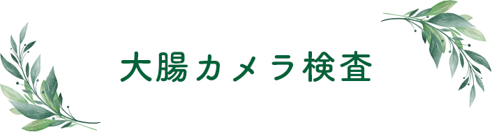 大腸カメラ検査