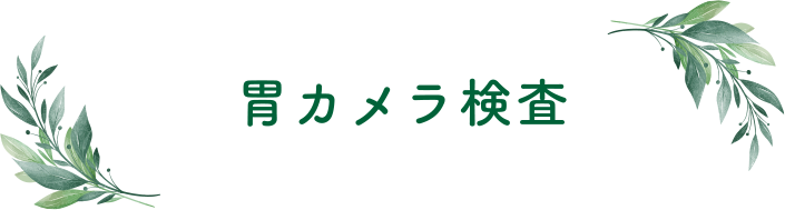 胃カメラ検査